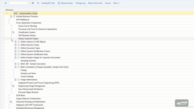 SAP Extended Warehouse Management - Quality Inspection QIE – Screenshot 2