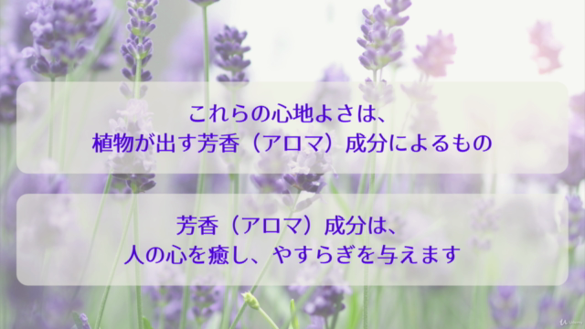 アロマセラピーで脳を活性化し、心と体をアップデートしよう! – Screenshot 1