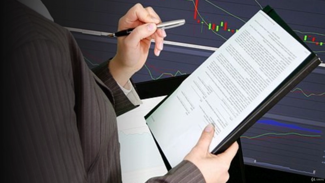 ERP Audit – Screenshot 1