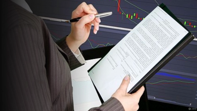 ERP Audit – Screenshot 3