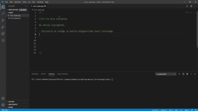Diziler | İleri Seviye C/C++ Programlama | OOP - Screenshot_01