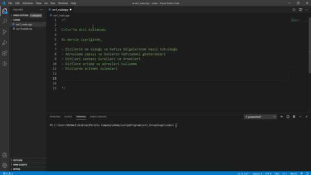 Diziler | İleri Seviye C/C++ Programlama | OOP - Screenshot_02