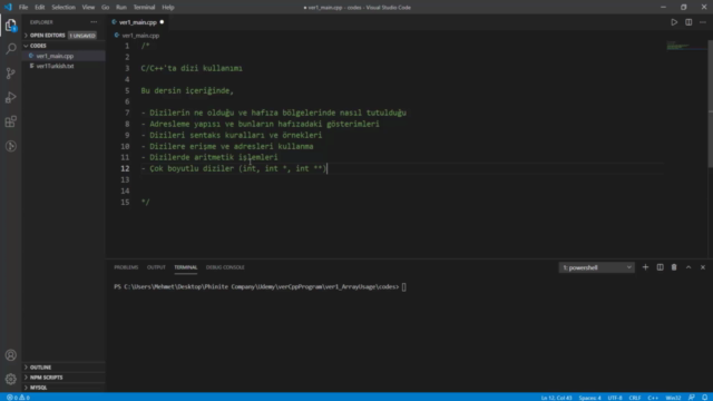 Diziler | İleri Seviye C/C++ Programlama | OOP - Screenshot_03
