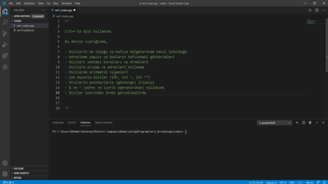 Diziler | İleri Seviye C/C++ Programlama | OOP - Screenshot_04