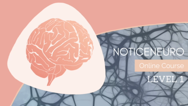 NoticeNeuro's Intro to Neuroscience – Screenshot 2