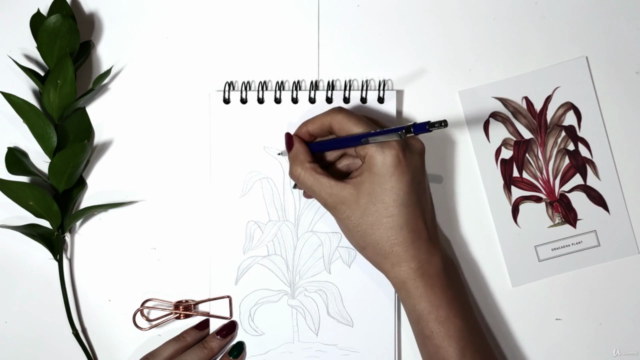 Botanical Line Drawing: Bent Leaves From Beginner To PRO – Screenshot 4