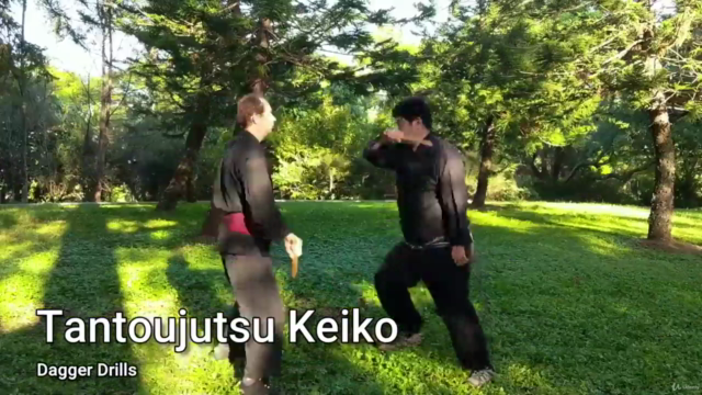 Martial Arts - Kenjutsu - Intermediate Dagger – Screenshot 1