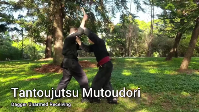 Martial Arts - Kenjutsu - Intermediate Dagger – Screenshot 2
