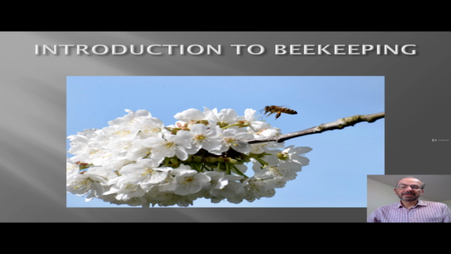 Introduction To Beekeeping – Screenshot 2