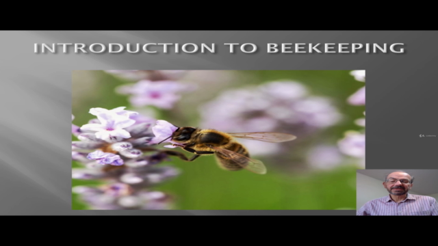 Introduction To Beekeeping – Screenshot 3