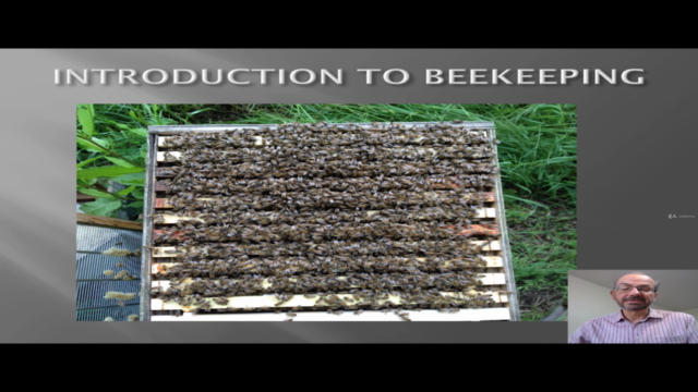 Introduction To Beekeeping – Screenshot 4