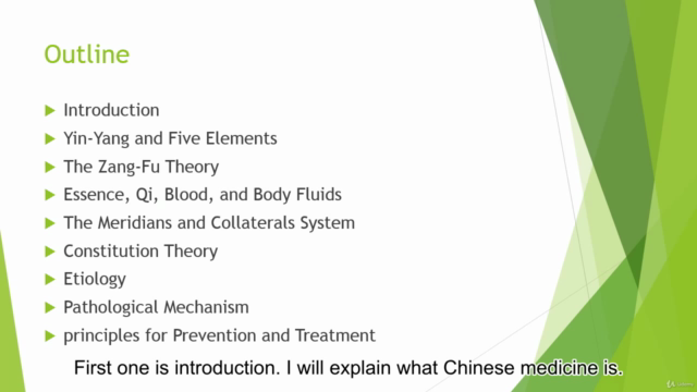 Basic Theory of Chinese Medicine: Chapter 1-10 – Screenshot 2
