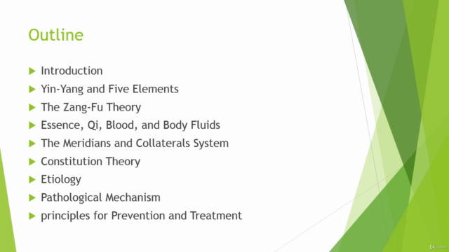 Basic Theory of Chinese Medicine: Chapter 1-10 – Screenshot 3