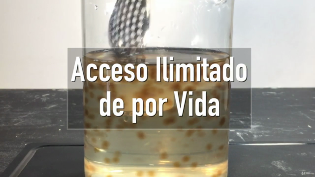 Ciencia de las Técnicas Culinarias – Screenshot 3