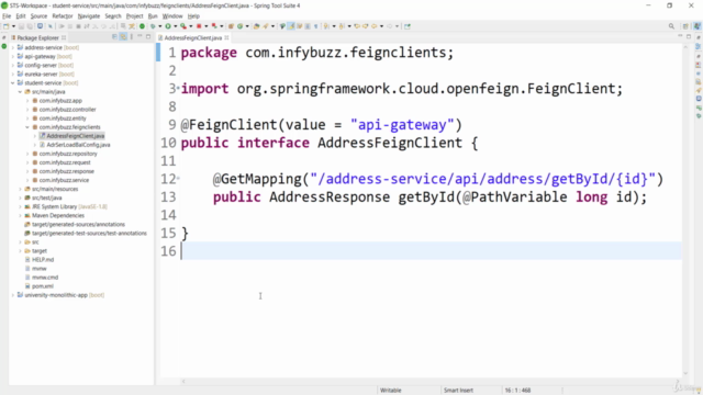 Microservices with Java Spring Boot and Spring Cloud – Screenshot 1