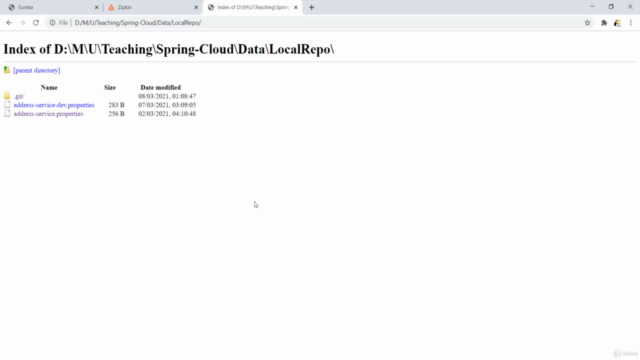 Microservices with Java Spring Boot and Spring Cloud – Screenshot 4