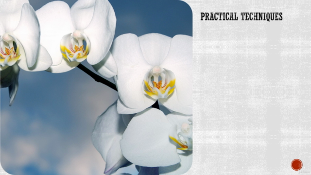 Practical Ways to Increase Your Vibration and Energy – Screenshot 3