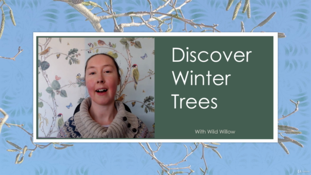 Discover Winter Trees – Screenshot 1