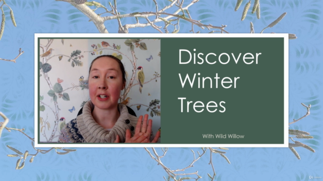 Discover Winter Trees – Screenshot 2