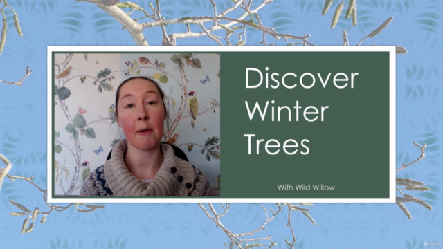 Discover Winter Trees – Screenshot 4