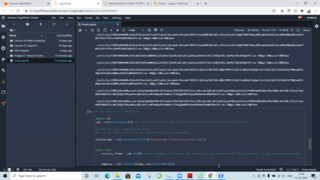 NumPy, Pandas, Matplotlib in Python using Amazon SageMaker – Screenshot 3