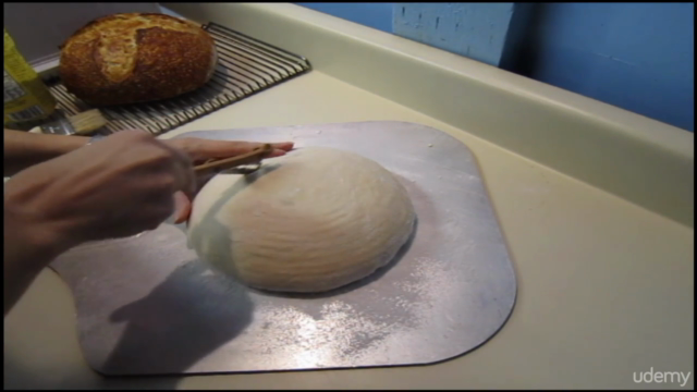 #2 Bake Artisan Sourdough Bread Like a Professional - Screenshot_02