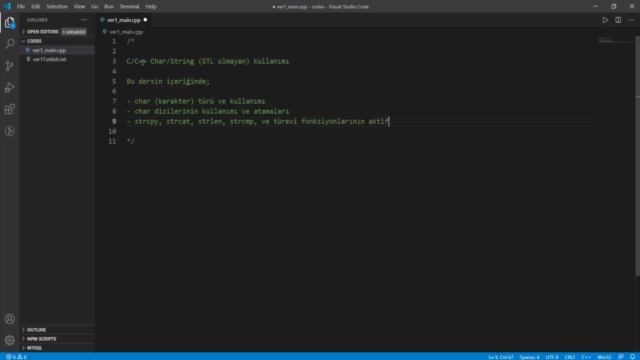 String Kütüphanesi | İleri Seviye C/C++ Programlama | OOP – Screenshot 2
