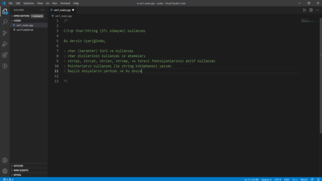 String Kütüphanesi | İleri Seviye C/C++ Programlama | OOP – Screenshot 3