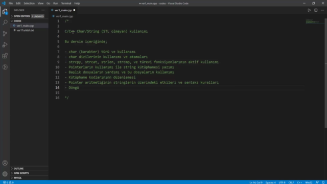 String Kütüphanesi | İleri Seviye C/C++ Programlama | OOP – Screenshot 4