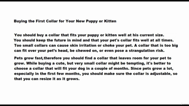 Making Handmade Jewelry for Your Pet – Screenshot 1
