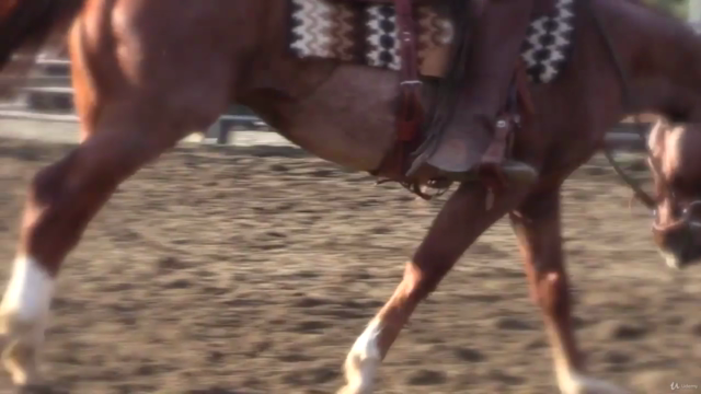Preparing Your Horse For Success – Screenshot 2