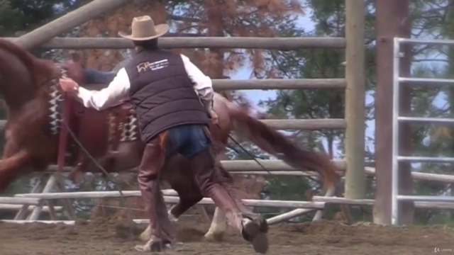Preparing Your Horse For Success – Screenshot 3