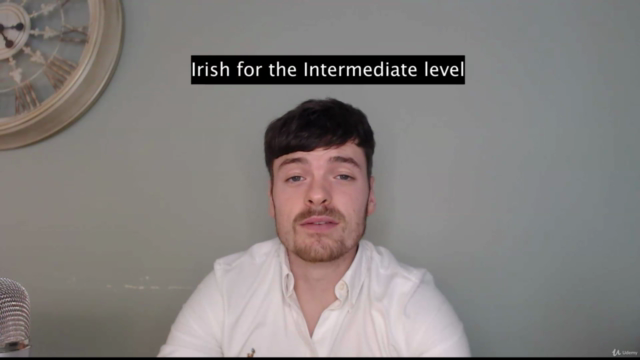 Learn the Irish language- Intermediate level – Screenshot 2