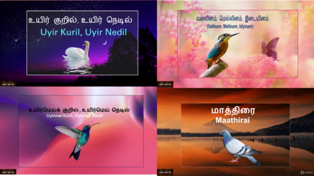Launching Tamil Grammar Course: Master Yourself in Tamil