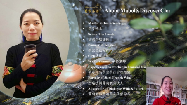 普洱茶品鉴与收藏,从入门到精通! – Screenshot 1