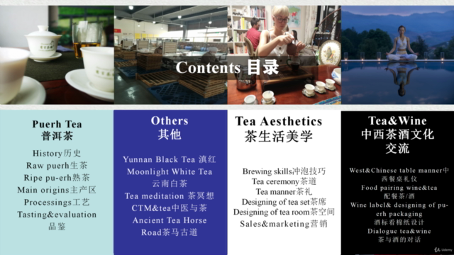 普洱茶品鉴与收藏,从入门到精通! – Screenshot 3