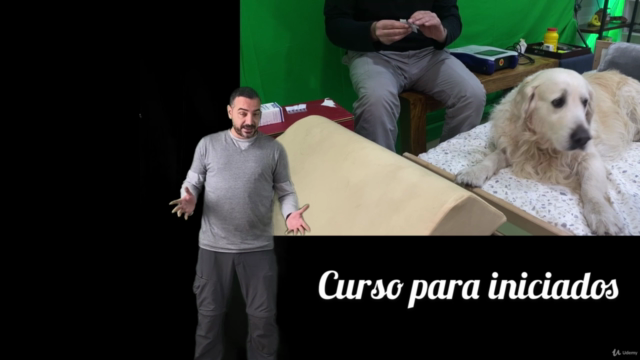 Acupuntura Animal: Consejos prácticos fundamentales. – Screenshot 1