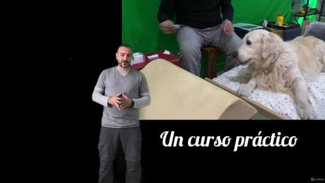 Acupuntura Animal: Consejos prácticos fundamentales. – Screenshot 2