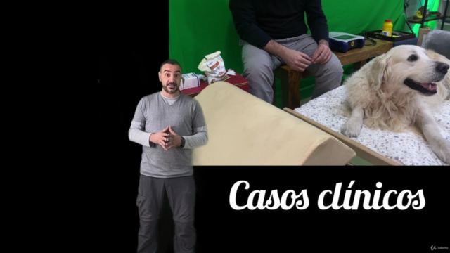 Acupuntura Animal: Consejos prácticos fundamentales. – Screenshot 3