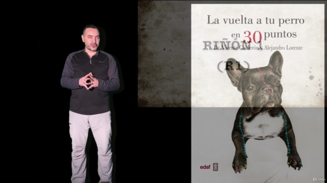 Acupuntura en animales: El secreto de los puntos pozo (TING) – Screenshot 1