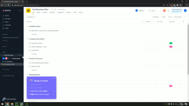 Kurs Asana podstawy zarządzania projektami – Screenshot 3
