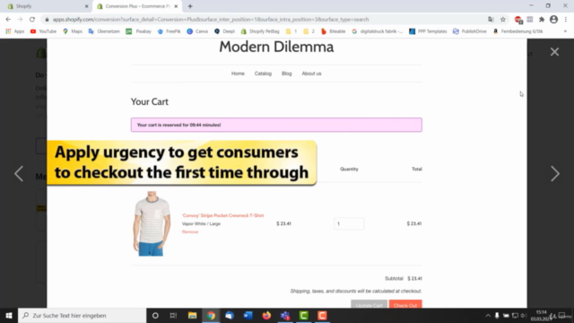Dropshipping mit Shopify + Print on Demand Kurs von A bis Z - Screenshot_03