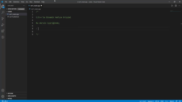 Dinamik Hafıza Erişimi | İleri Seviye C/C++ Programlama – Screenshot 1