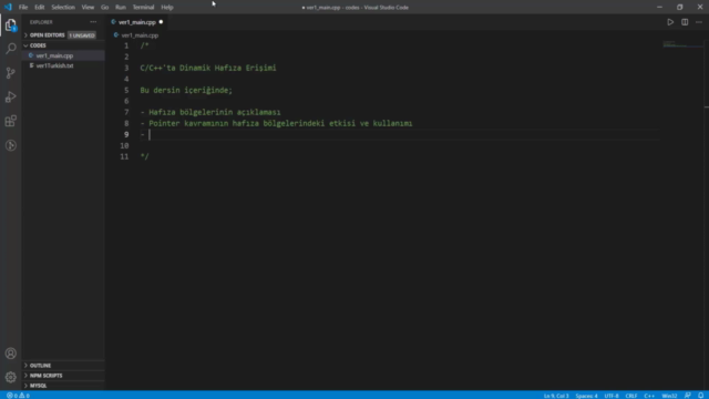Dinamik Hafıza Erişimi | İleri Seviye C/C++ Programlama – Screenshot 2