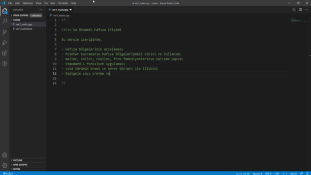 Dinamik Hafıza Erişimi | İleri Seviye C/C++ Programlama – Screenshot 3