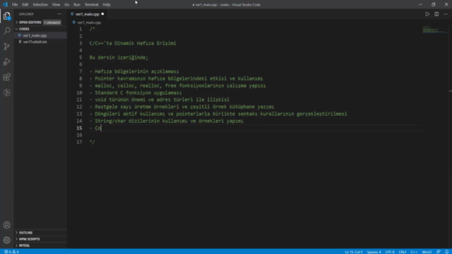 Dinamik Hafıza Erişimi | İleri Seviye C/C++ Programlama – Screenshot 4