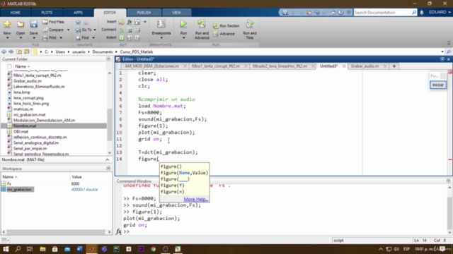 Procesamiento Digital de Señales en MATLAB – Screenshot 3