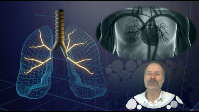Naturopathie cours n° 7 - Le système cardio-respiratoire - Screenshot_01