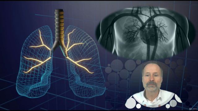 Naturopathie cours n° 7 - Le système cardio-respiratoire - Screenshot_02