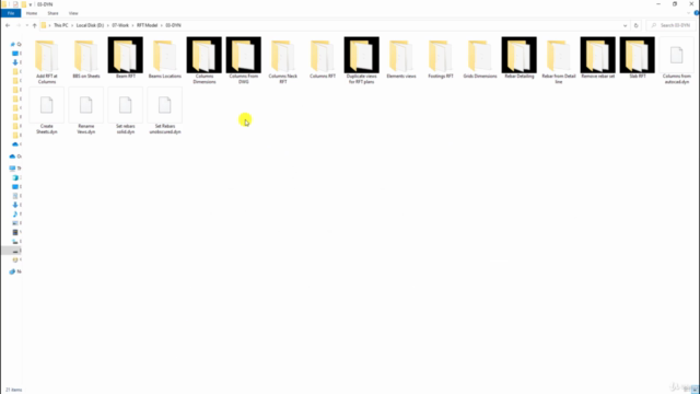 Revit 3D Reinforcement Workshop With Dynamo – Screenshot 3
